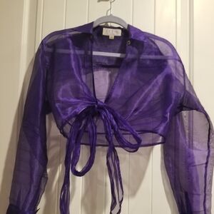 Deep Violet Sheer Crop Top